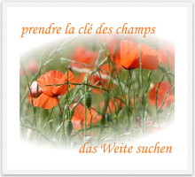 prendre la clé des champs