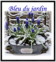 bleu de jardin