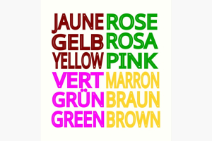 Jaune Rose Vert Marron